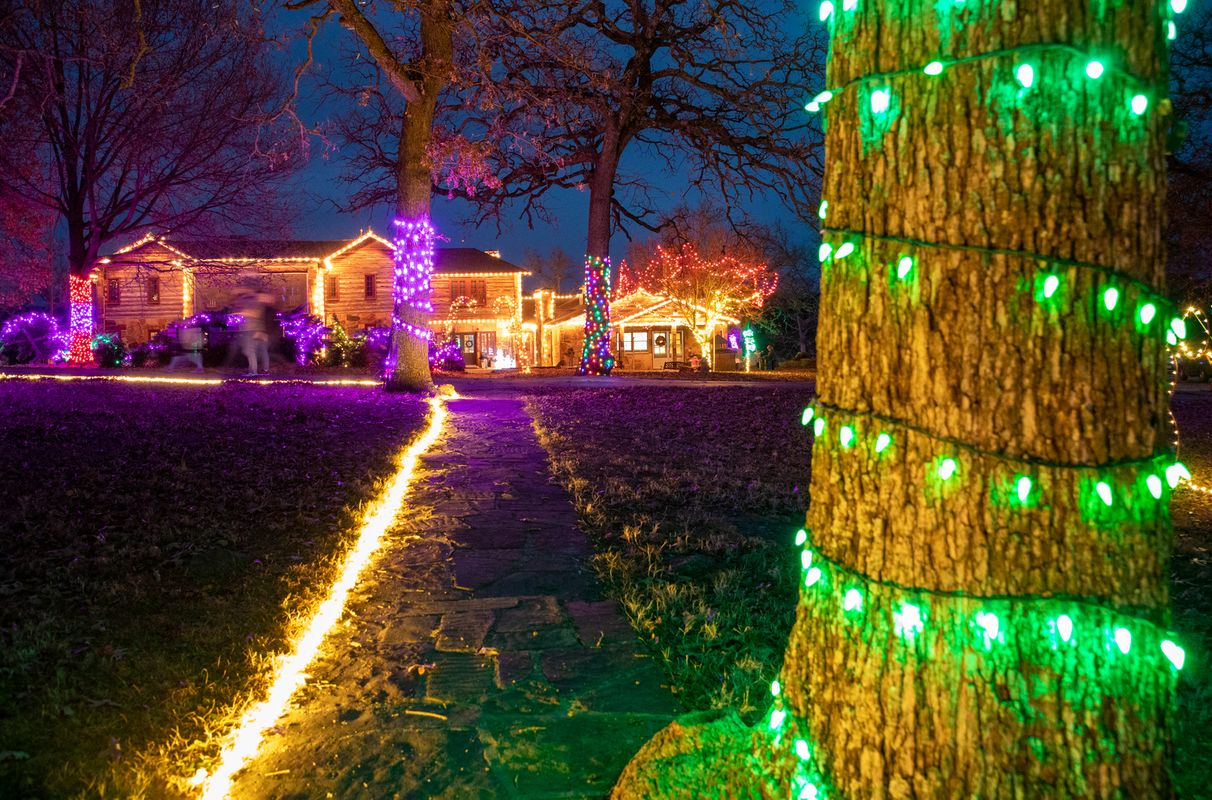 Woolaroc Christmas Lights 2025 Emilee Lorelei